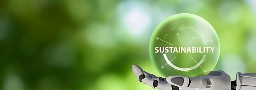 Career in Sustainability